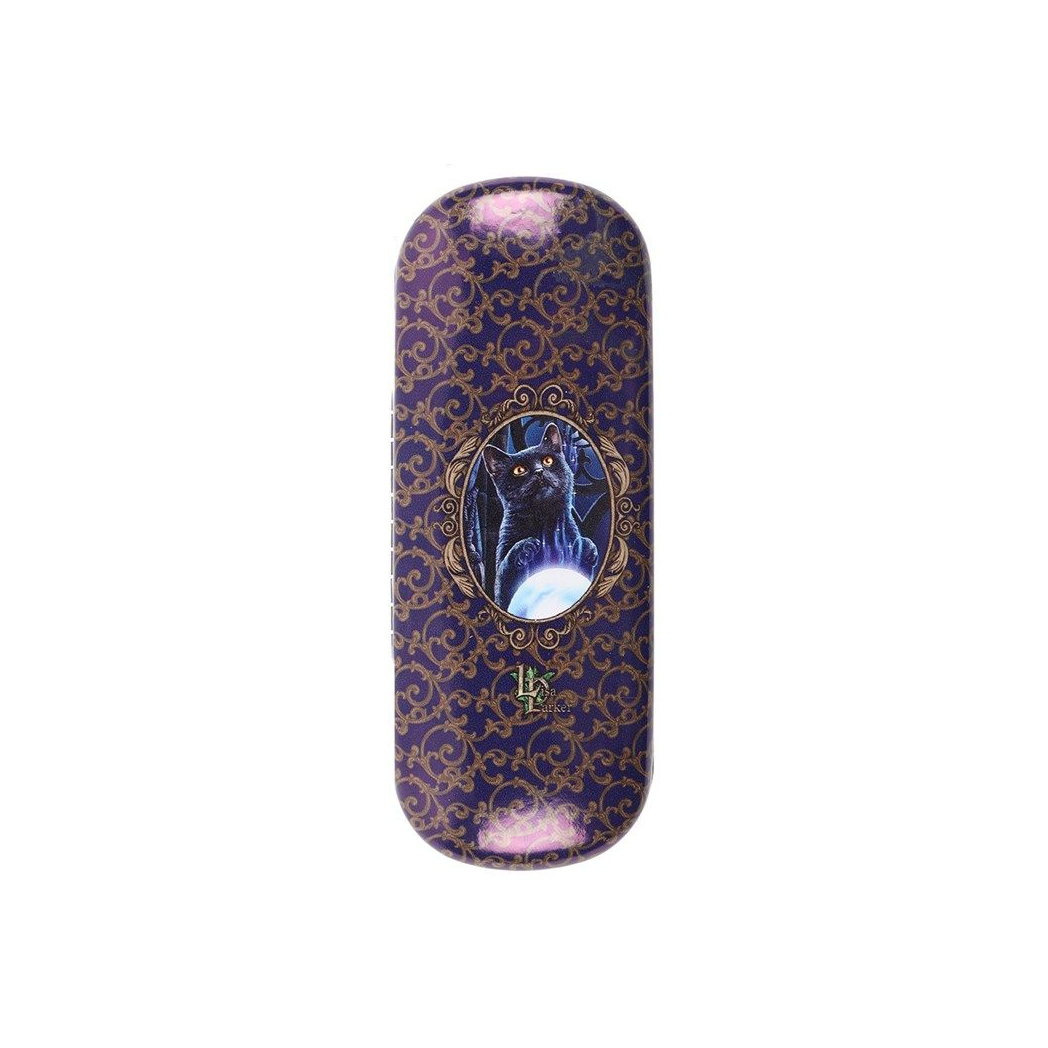 Witches Apprentice Glasses Case by Lisa Parker