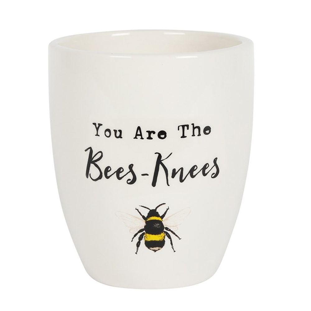 You Are the Bees Knees Ceramic Plant Pot