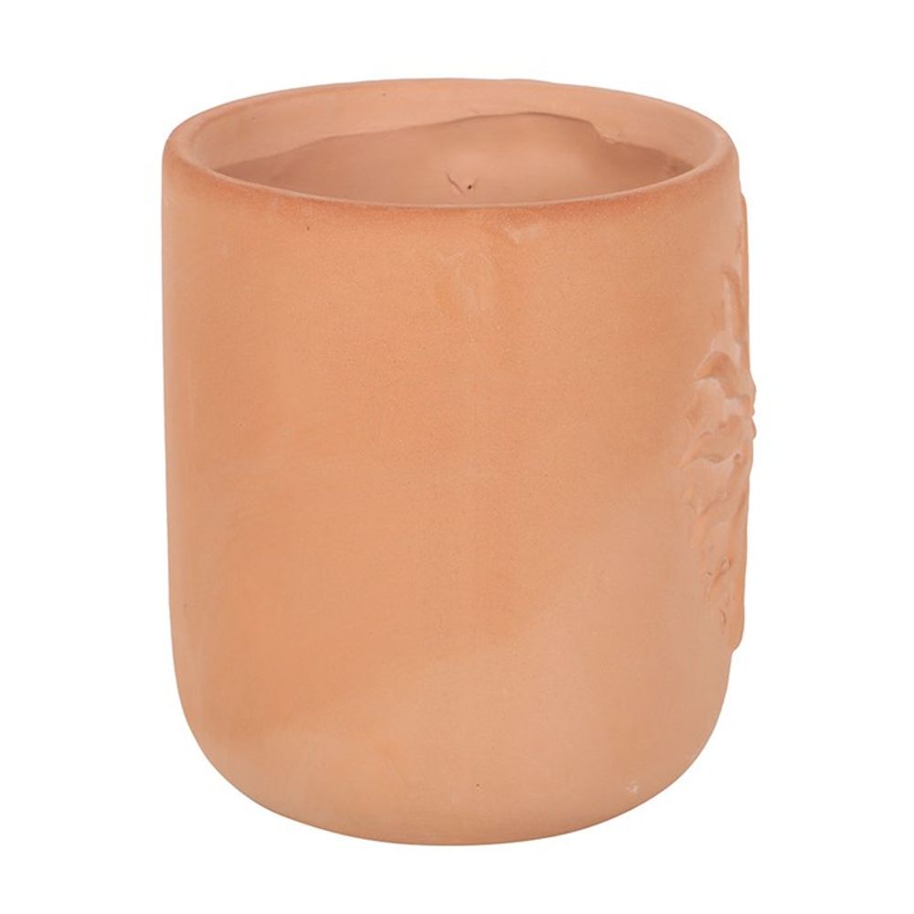 Terracotta Sun Plant Pot